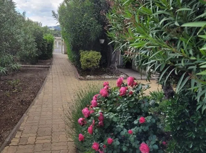 Port La Roquille- 162- Clim- 6 Pers * アグド